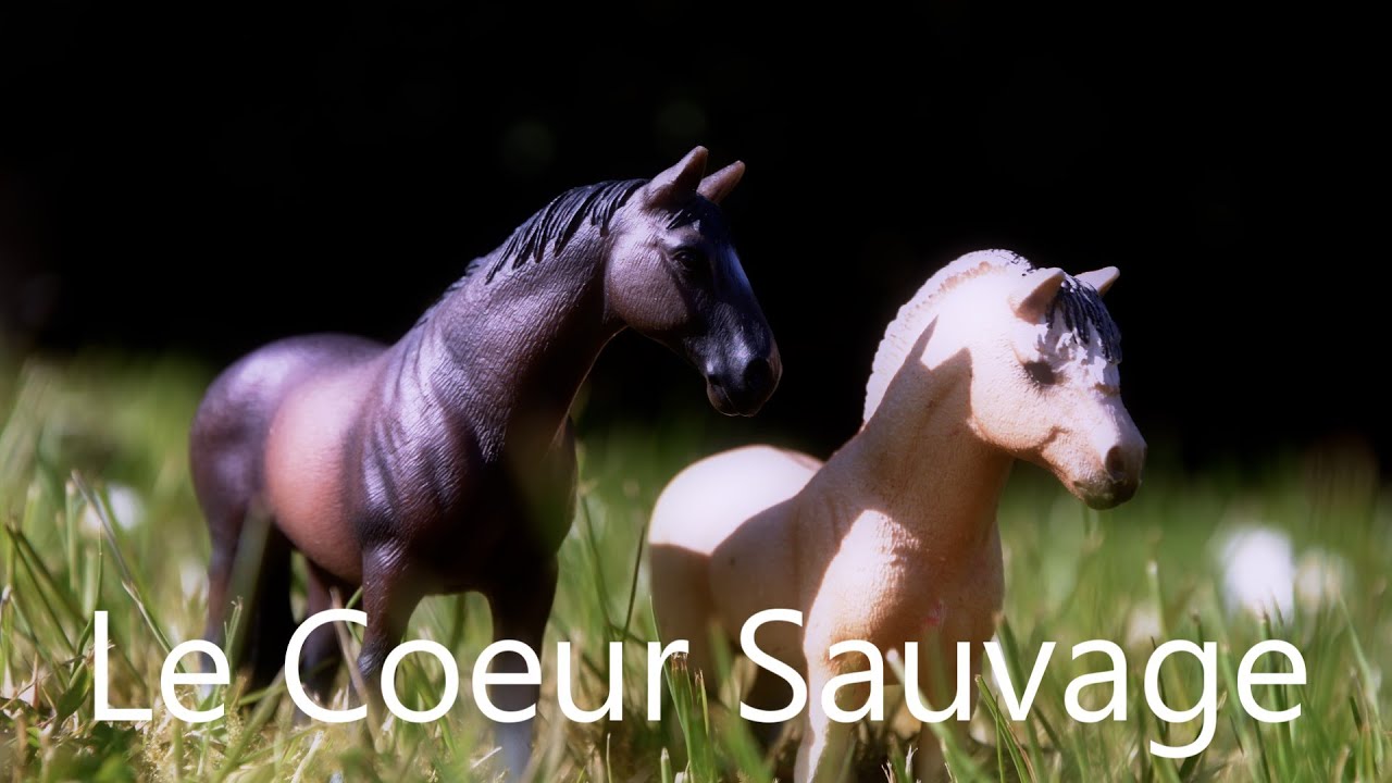 [SERIE SCHLEICH-Le Coeur Sauvage]Episode 2