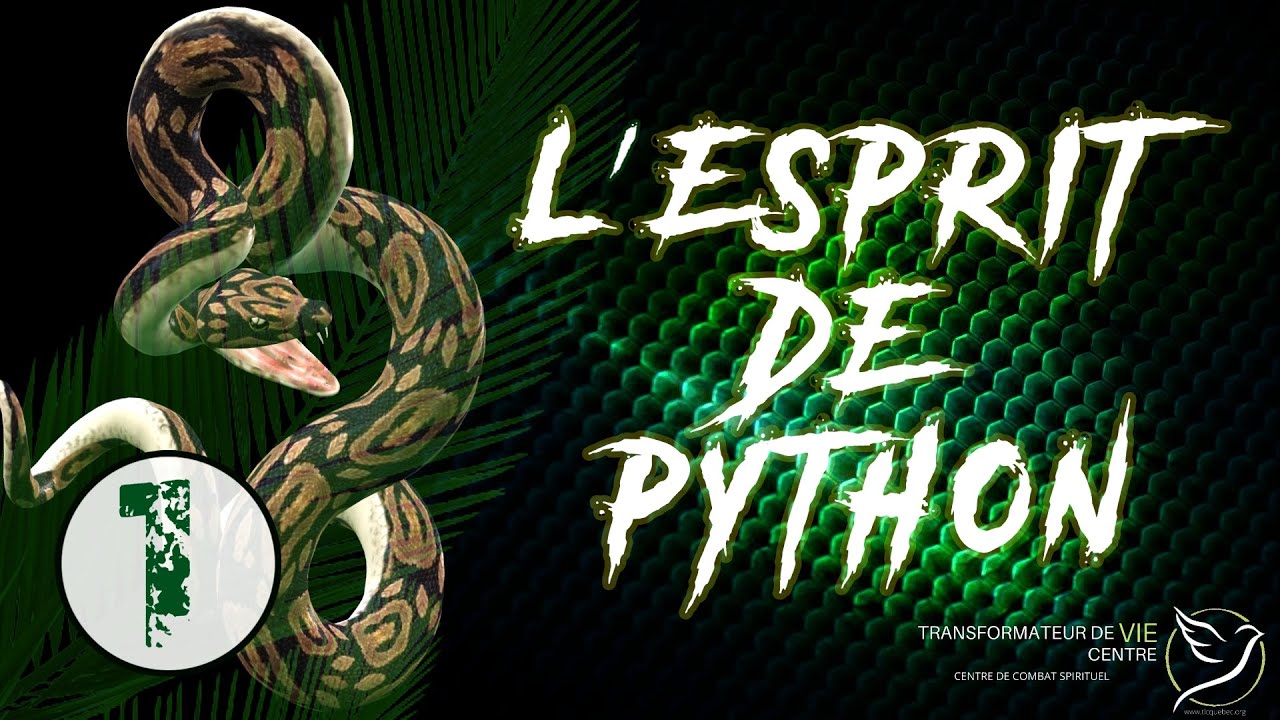 L'ESPRIT DE PYTHON (1) - COMBAT SPIRITUEL