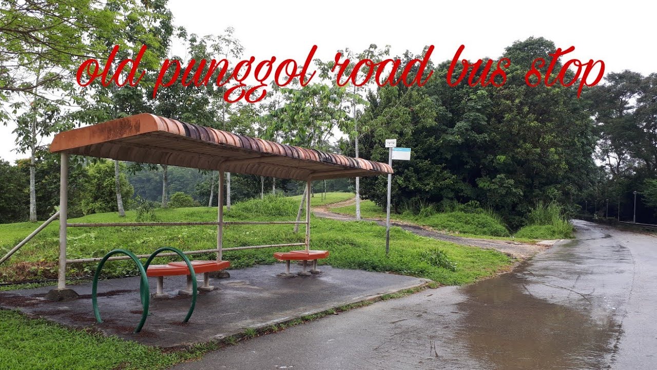 SG old Punggol road bus stop