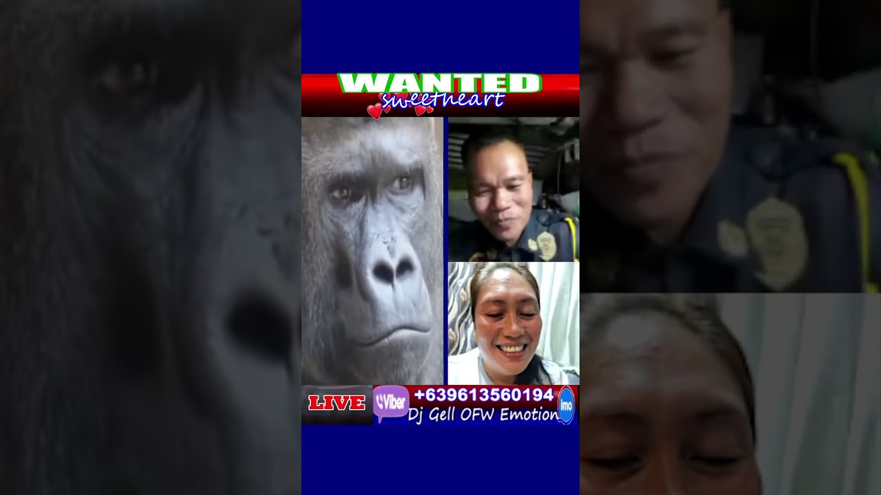 Girl: Mas ma matanda ako sayo Boy: Kung mahal naman kita eh?