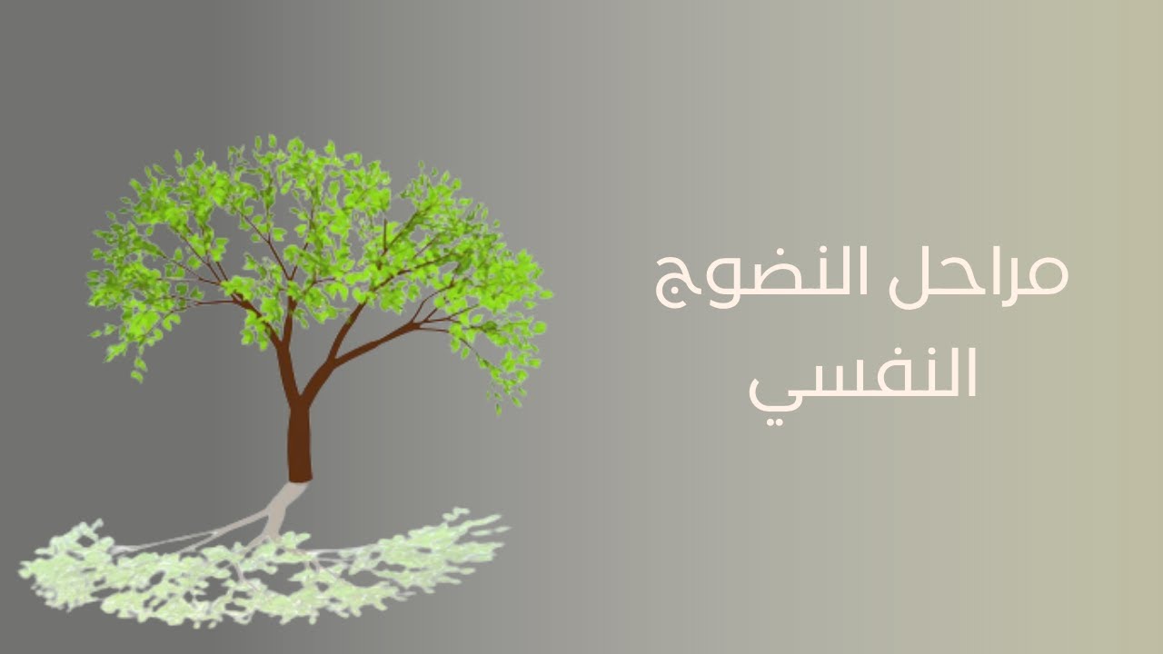 المحاضره الرابعة: مراحل النضوج النفسي الأربعه