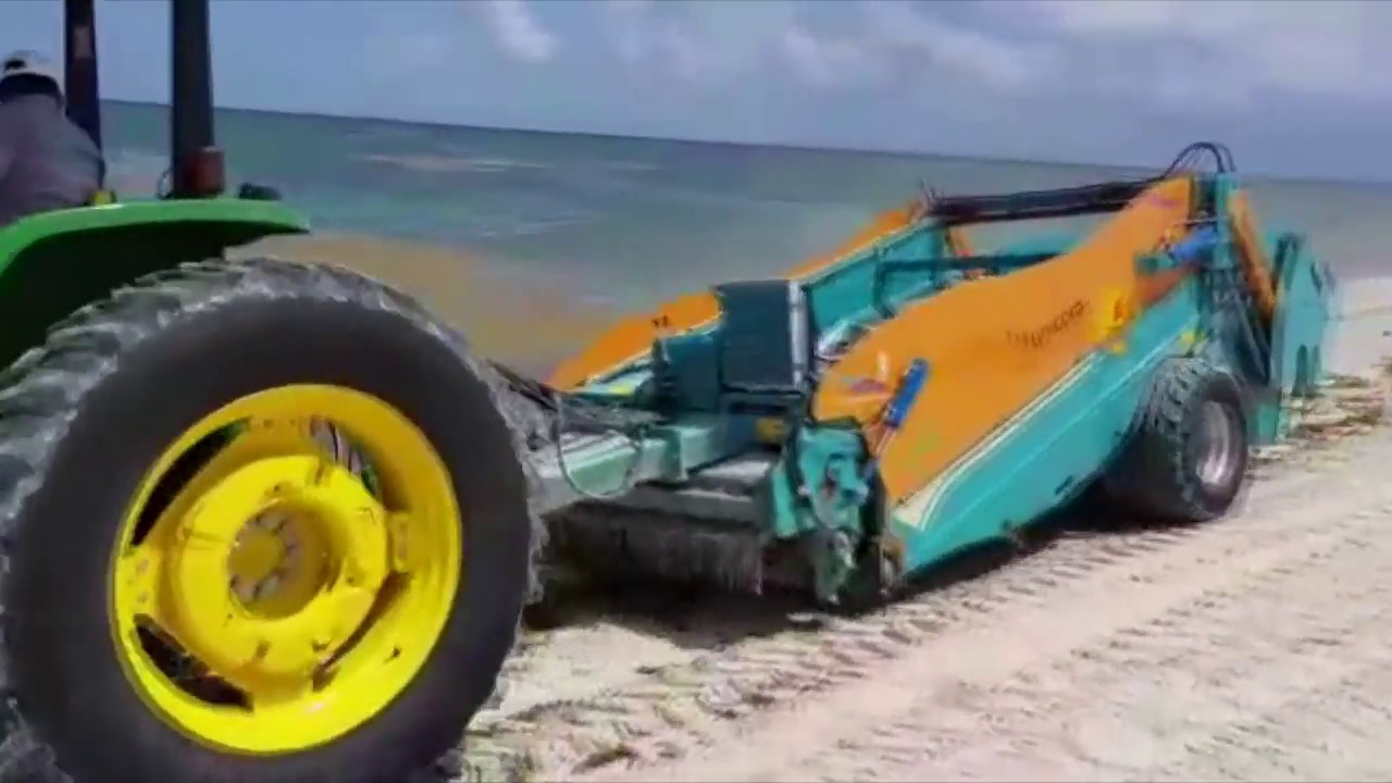 Maquina limpiadora del sargazo en México