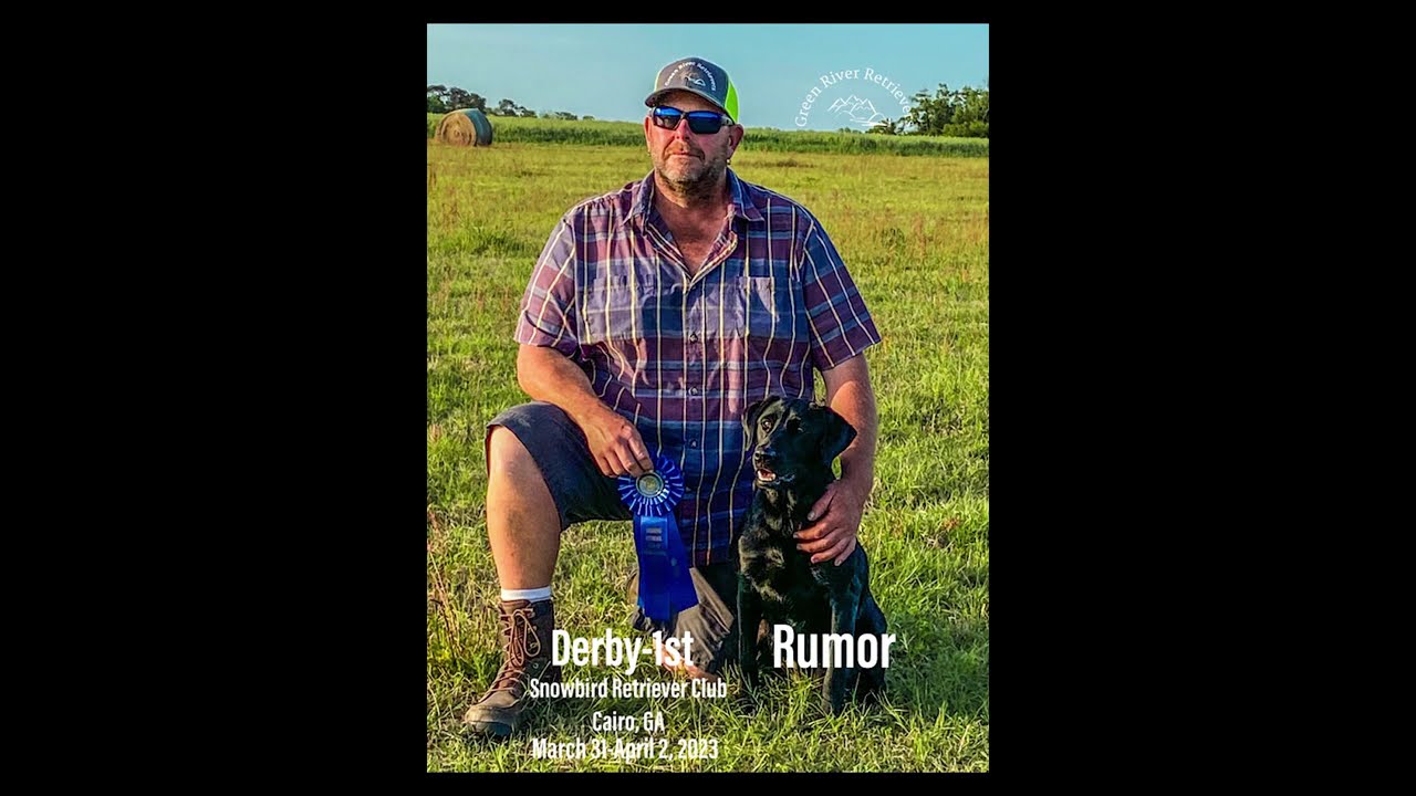 EP 53: Marc Patton (Part 1) A Different Way to Think About Retriever Training