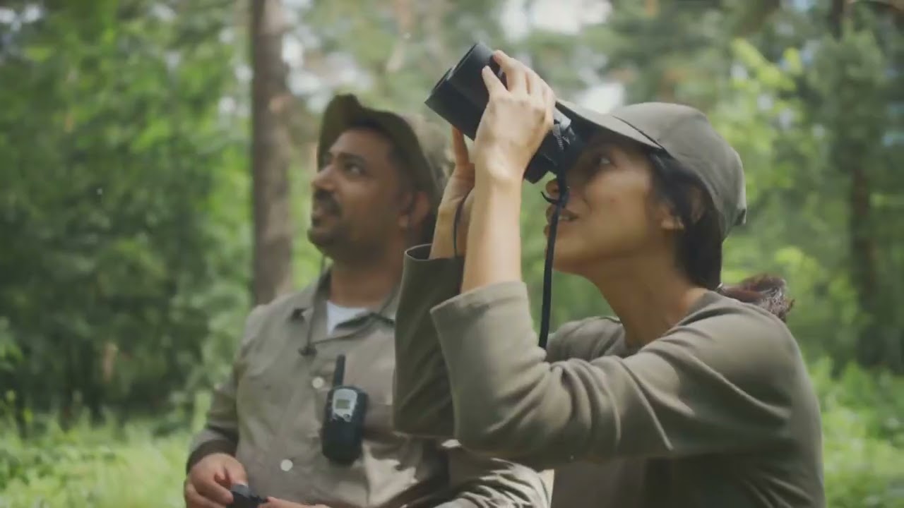 Sustainable Safari Expeditions: A Journey into the Wild