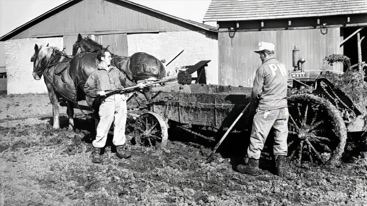 Deutsche Kriegsgefangene konnten nicht glauben, dass amerikanische Bauern deutsche Namen hatten.