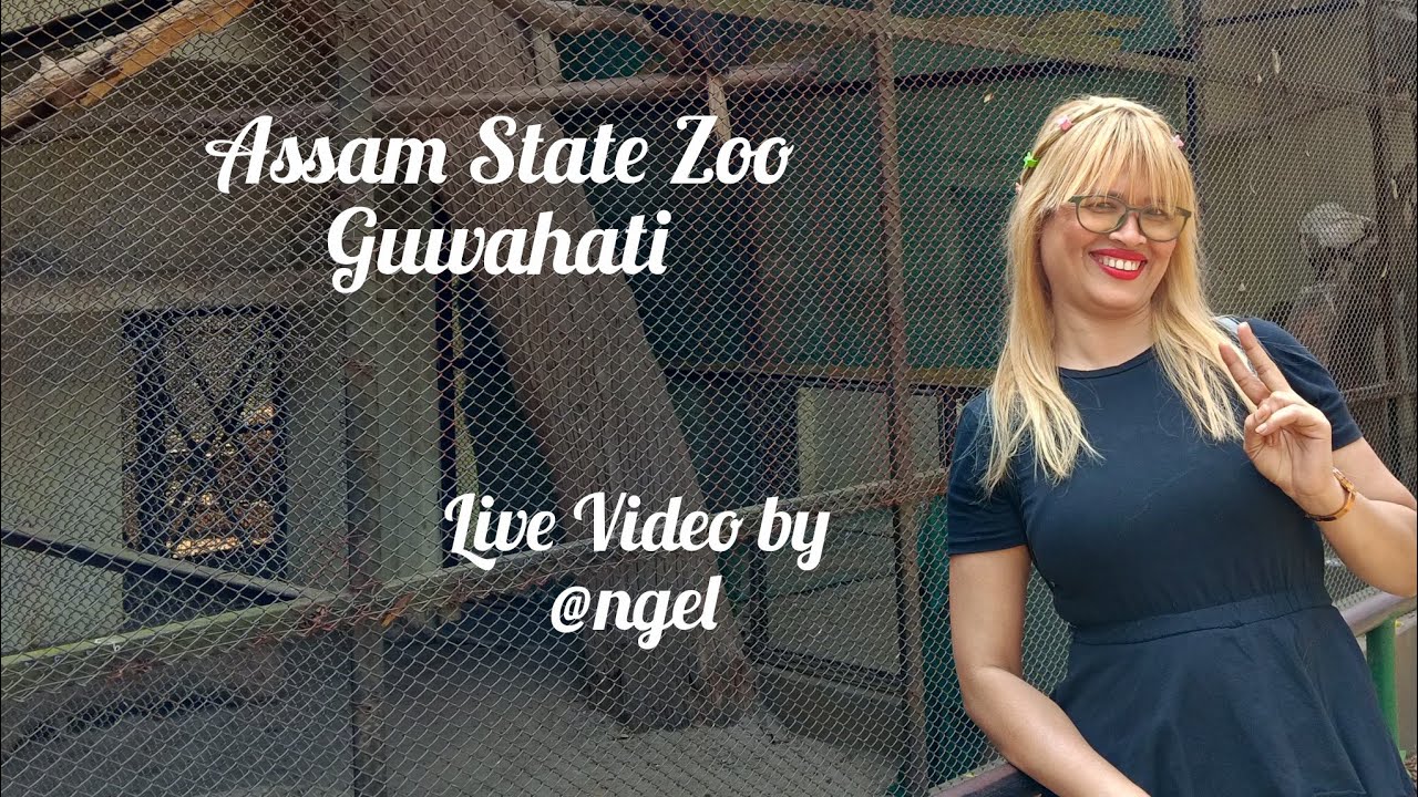 Assam State Zoo,Guwahati Live Video #wildlifelovers #assamstatezoon #guwahativlogs #