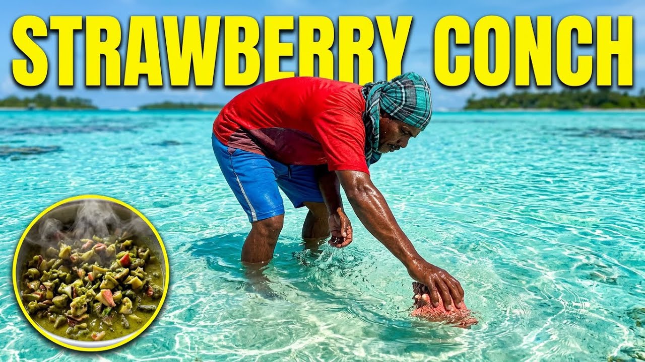 Strawberry Conch: Caught and Cook | Village Lifestyle