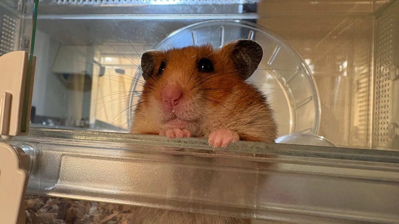 りらちゃん、ありがとう