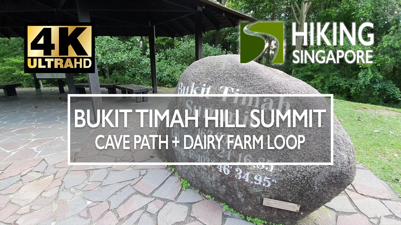 Bukit Timah Hill Summit (Diary Farm route and Cave Path) [4K] - Hiking Singapore