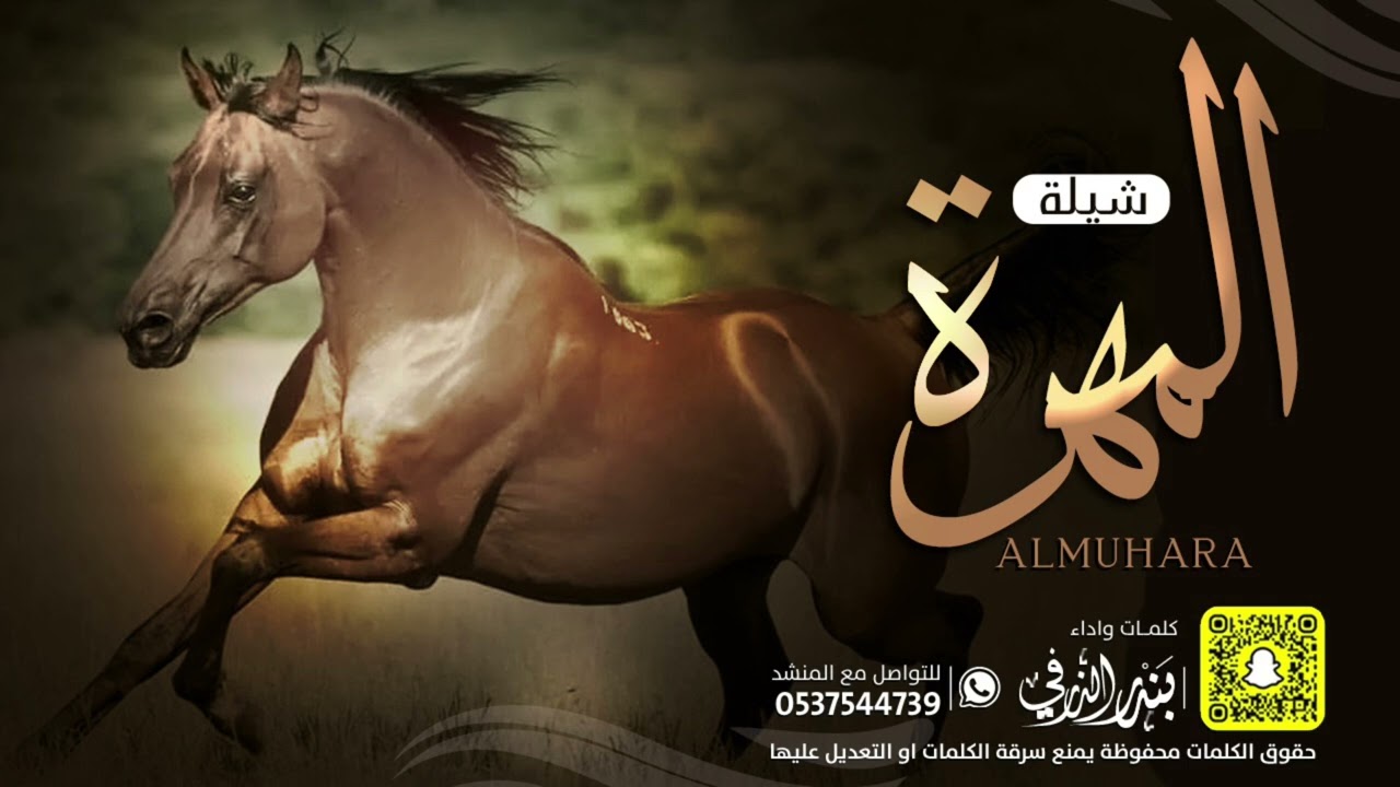 المهرة اللي تفوز بكل ميداني | كلمات واداء بندر الذرفي