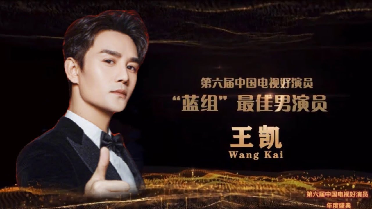 王凯 第6届 中国电视好演员年度盛典 蓝组最佳男演员王凱
