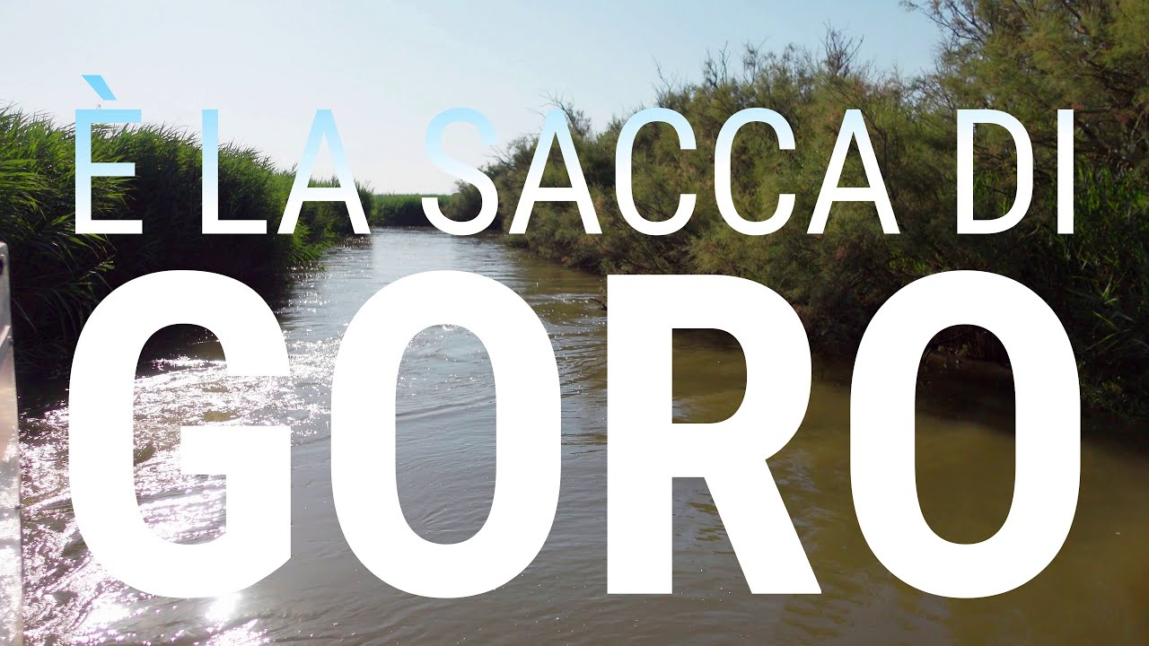 Non è il Mississippi, è la Sacca di Goro (FE)