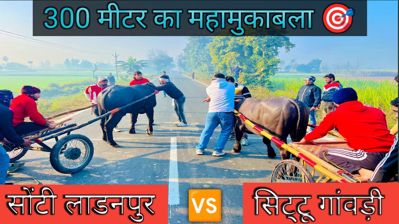 आज का मुकाबला दो धुरंधरों के बीच 300 मीटर की दूरी मैं जबरदस्त मुकाबला #up20katralover