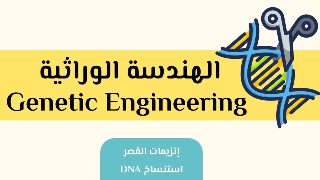 الهندسة الوراثية ج2: إنزيمات القصر + استنساخ DNA | البيولوجيا الجزيئية |  أحياء الصف الثالث الثانوي