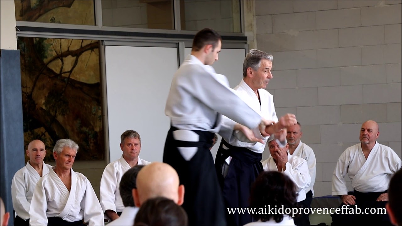 Claude Pellerin Shihan 7ème Dan Aïkikaï à Carpentras le 26 février 2018