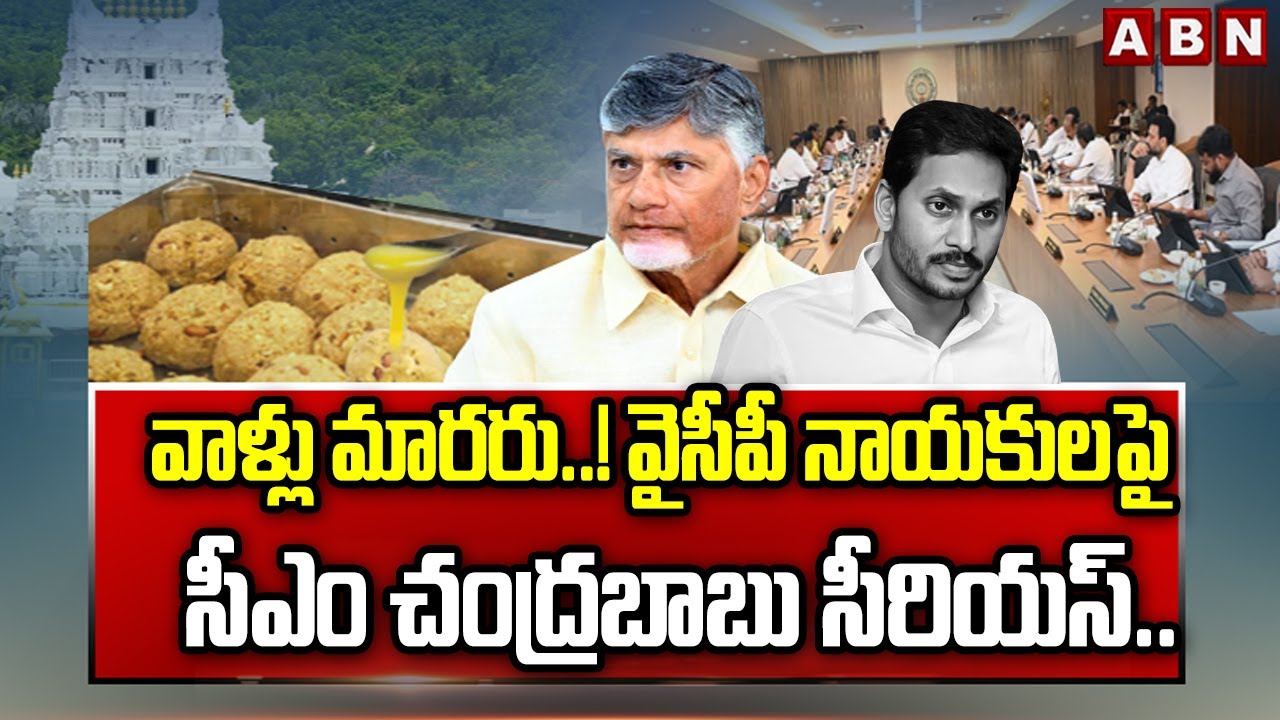 వాళ్లు మారరు..! వైసీపీ నాయకులపై సీఎం చంద్రబాబు సీరియస్.. | CM Chandrababu Serious on YCP Leaders