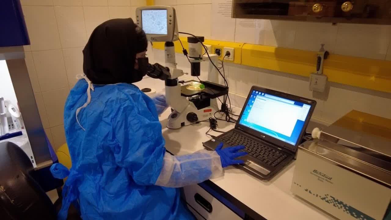 Highlights of the Biotechnology Research Center at Tehran University of Medical Sciences