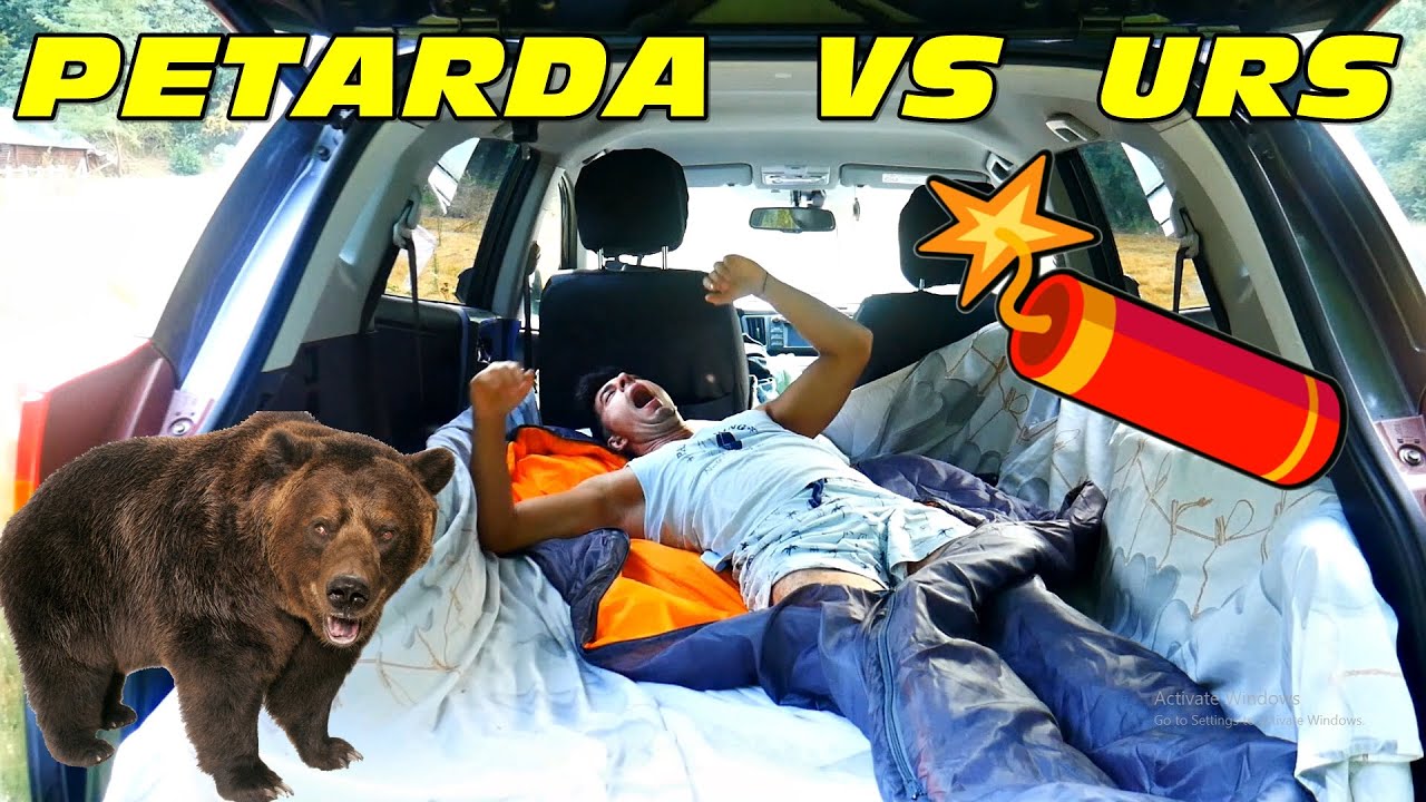 Am dat PETARDE ca să sperii URSUL - Dorm în MAȘINĂ printre URȘI în munți 🧨🐻