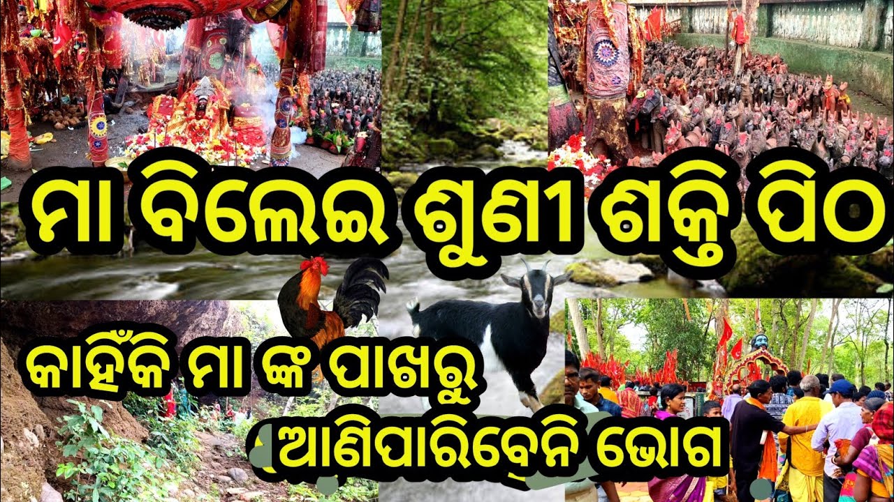 ମା ବିଲେଇ ଶୁଣୀ ଶକ୍ତି ପିଠ // Maa Bileisuni Shakti Pitha // Kuturia Dhenkanal #sanjayavlogs #Odiavlog