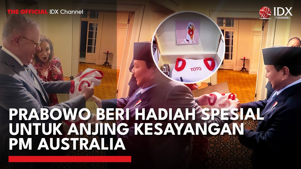Diplomasi Unik Prabowo, Beri Hadiah untuk Anjing Kesayangan PM Australia | IDXC UPDATE