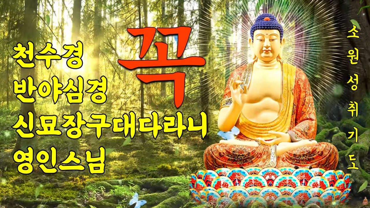 🙏 큰 복과 큰 행운이 가득 들어오는 만사형통 불경 모: 금강경·천수경·반야심경·천지팔양신주경·신묘장구대다라니 | 영인스님