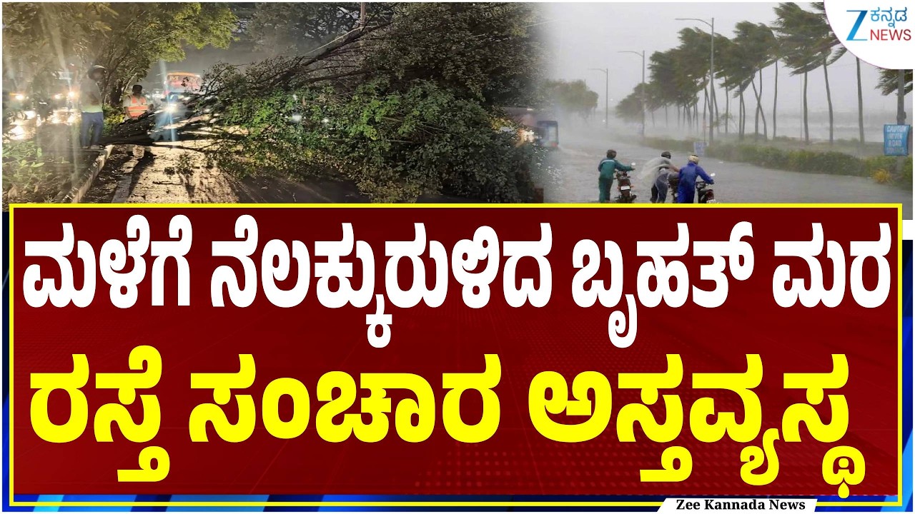 Rain Fall in Kalaburagi  | Weather Update |  ಕೊಪ್ಪಳ ಜಿಲ್ಲೆಯಲ್ಲಿ ಬಿರುಗಾಳಿ ಸಹಿತ ಭಾರೀ  ಮಳೆ