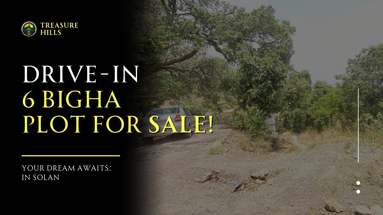 6 Bighas Plot for SALE in Solan #treasurehills #realestate #plotforsale #solan #himachal