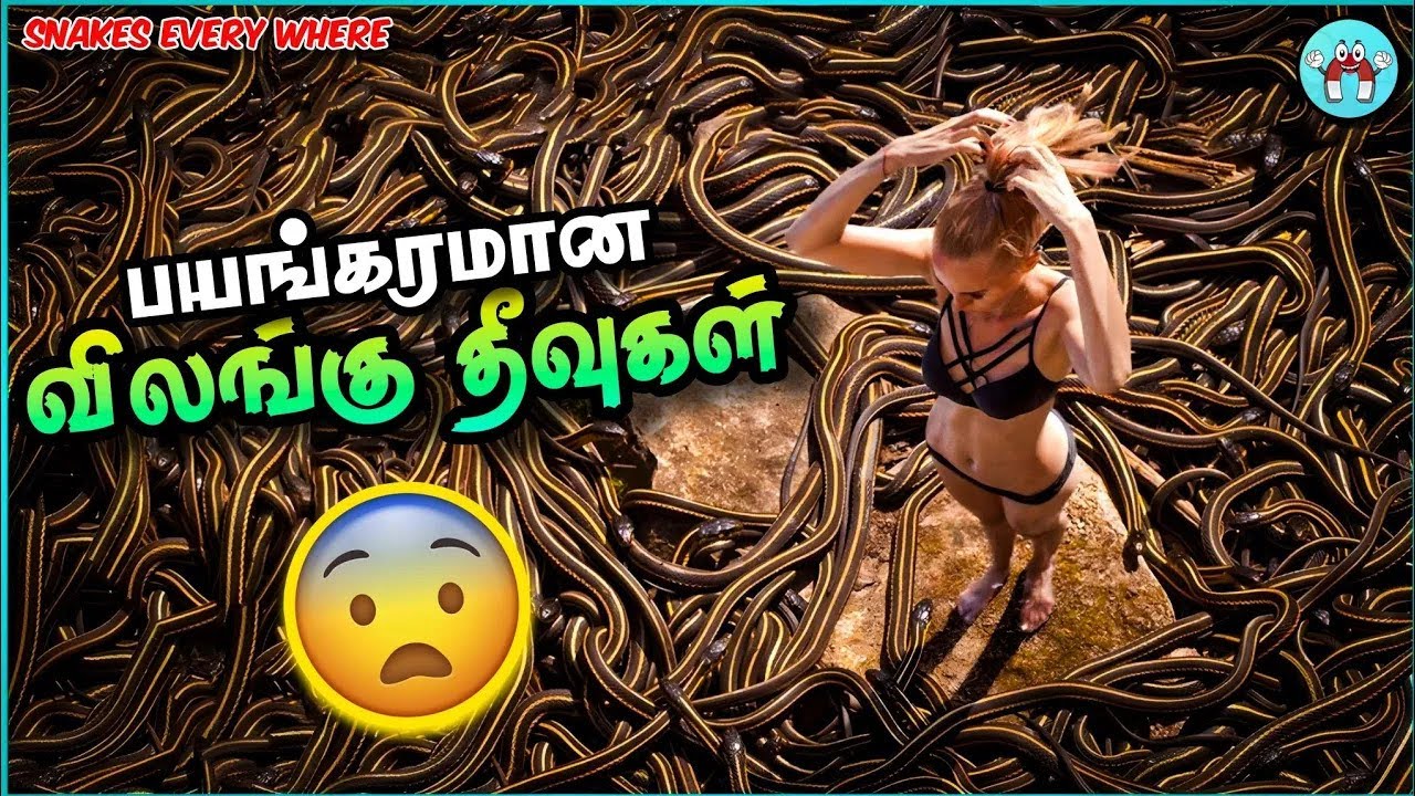 Places That were Controlled By Animals தமிழ் | The Magnet Facts