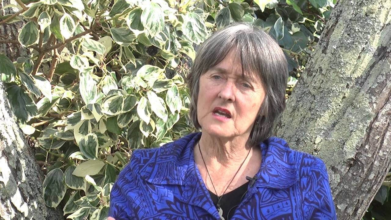 Schools as Community Food Hubs: Interview with Catherine Delahunty, MP