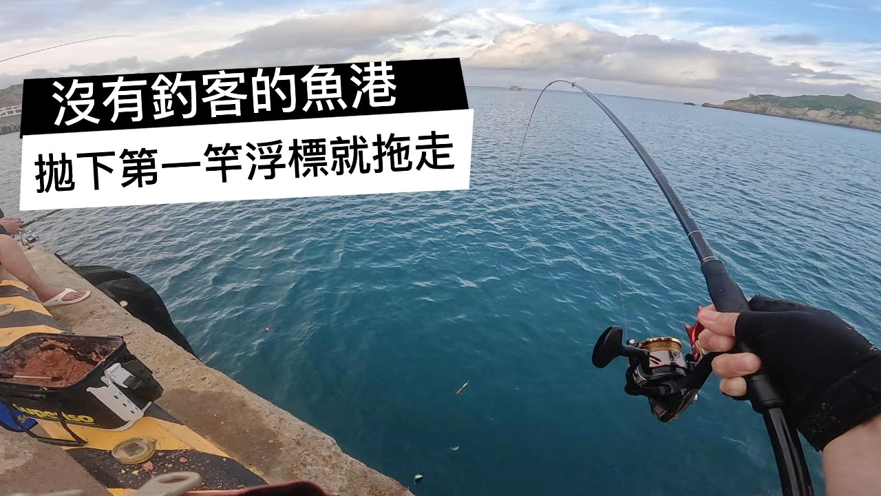 沒有釣客的漁港.拋下第一竿浮標就拖走了