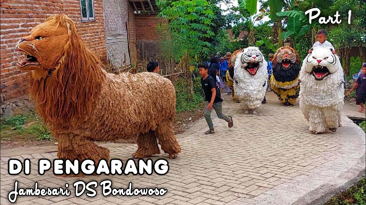 KIRAB CAN MACANAN DAN DRUMBAND SINGO MANGGALA DI PENGARANG JAMBESARI BONDOWOSO PART1