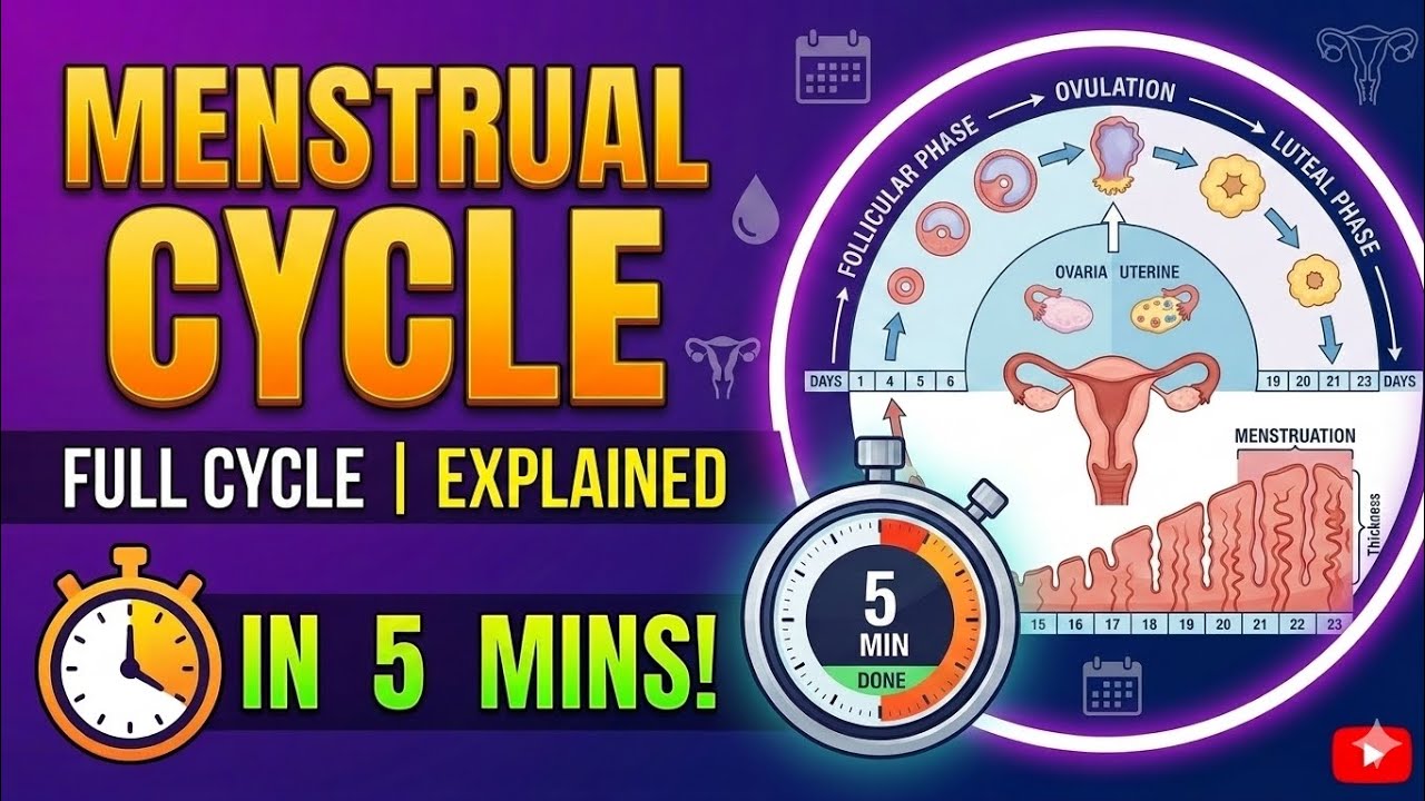 Menstrual Cycle Explained in 5 Minutes | Class 12 Biology Chapter 3