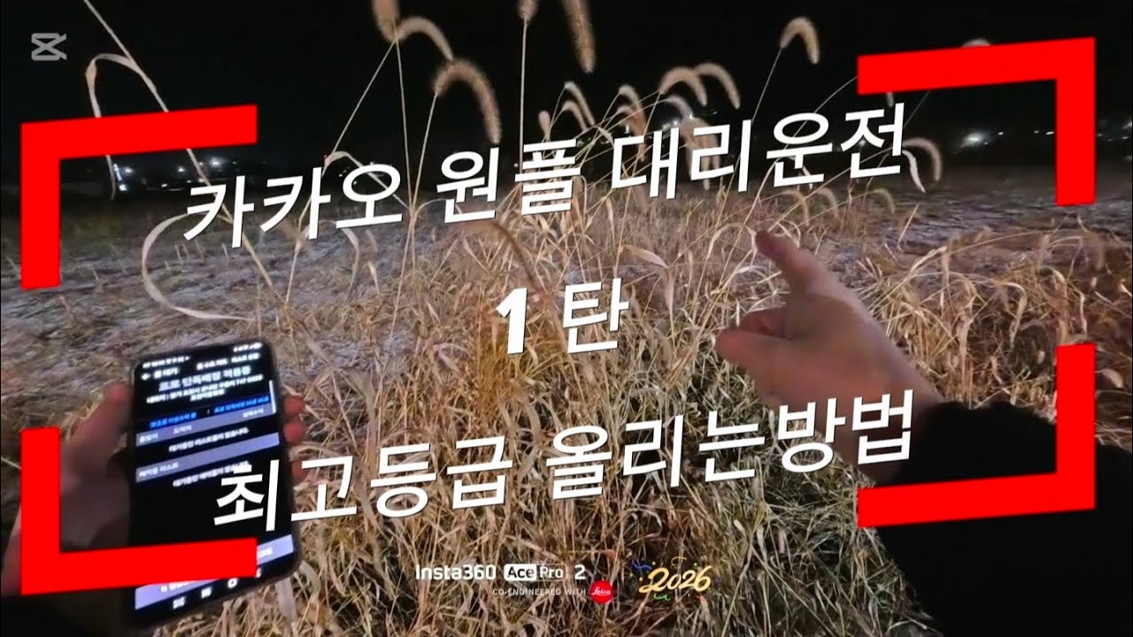 카카오 대리 1티어 등급만들기 ❤️1탄❤️  #대리운전 #대리기사 #카카오 #카카오대리 #음주단속벌금 #음주운전벌금 #투잡대리 #음주사고 #음주단속 #음주운전처벌 #음주운전