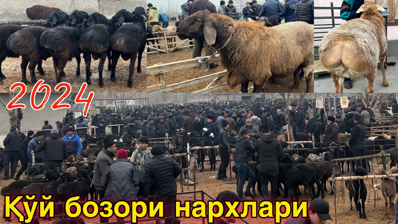 Мана ЎЗИМИЗНИ БОЗОРЛАРДАХАМ БОР “ҚИРҒИЗИСТОН” ДАГИ-ДЕК ҚЎЙЛАР