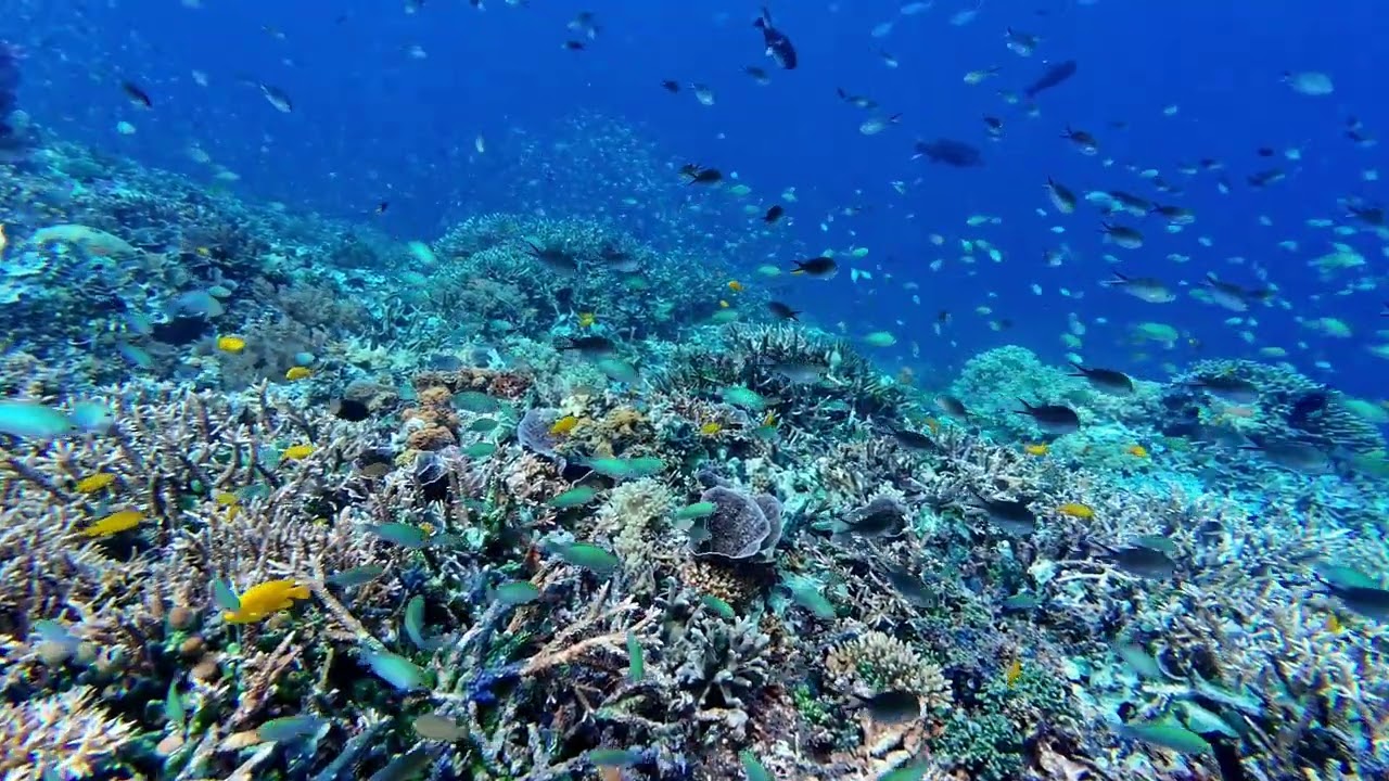 Raja Ampat - Sawandarek & Yenbuba Jetty