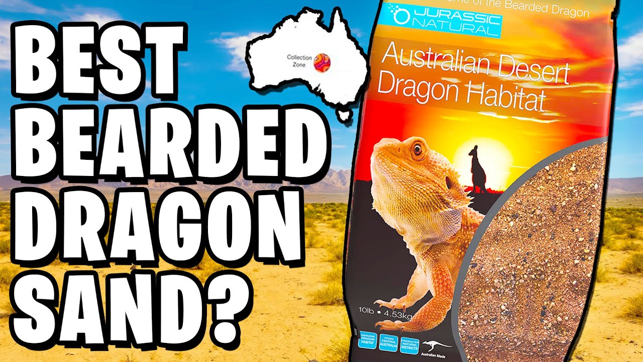 Лучший субстрат для бородатой агамы? Обзор Jurassic Sand!