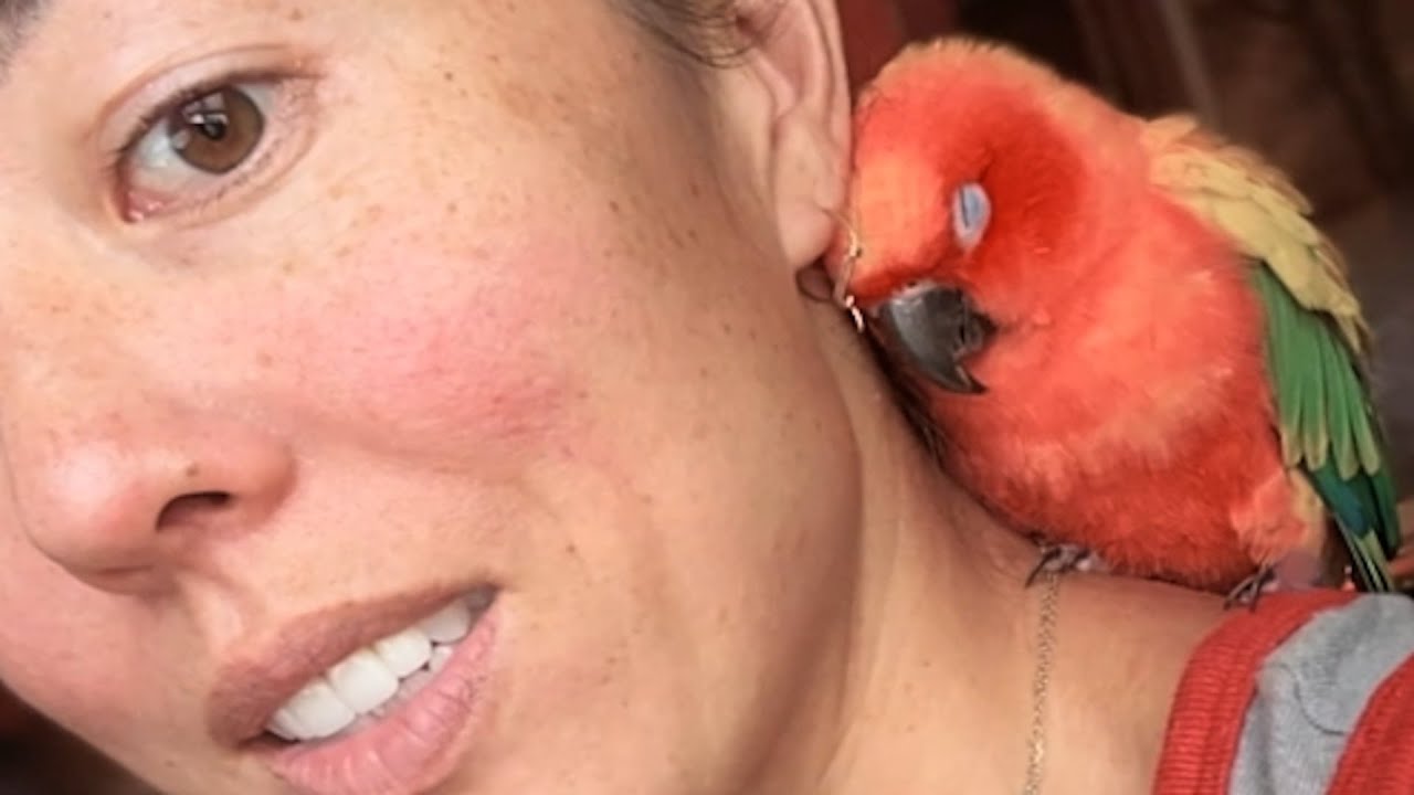 Woman goes to get mail, returns with bird