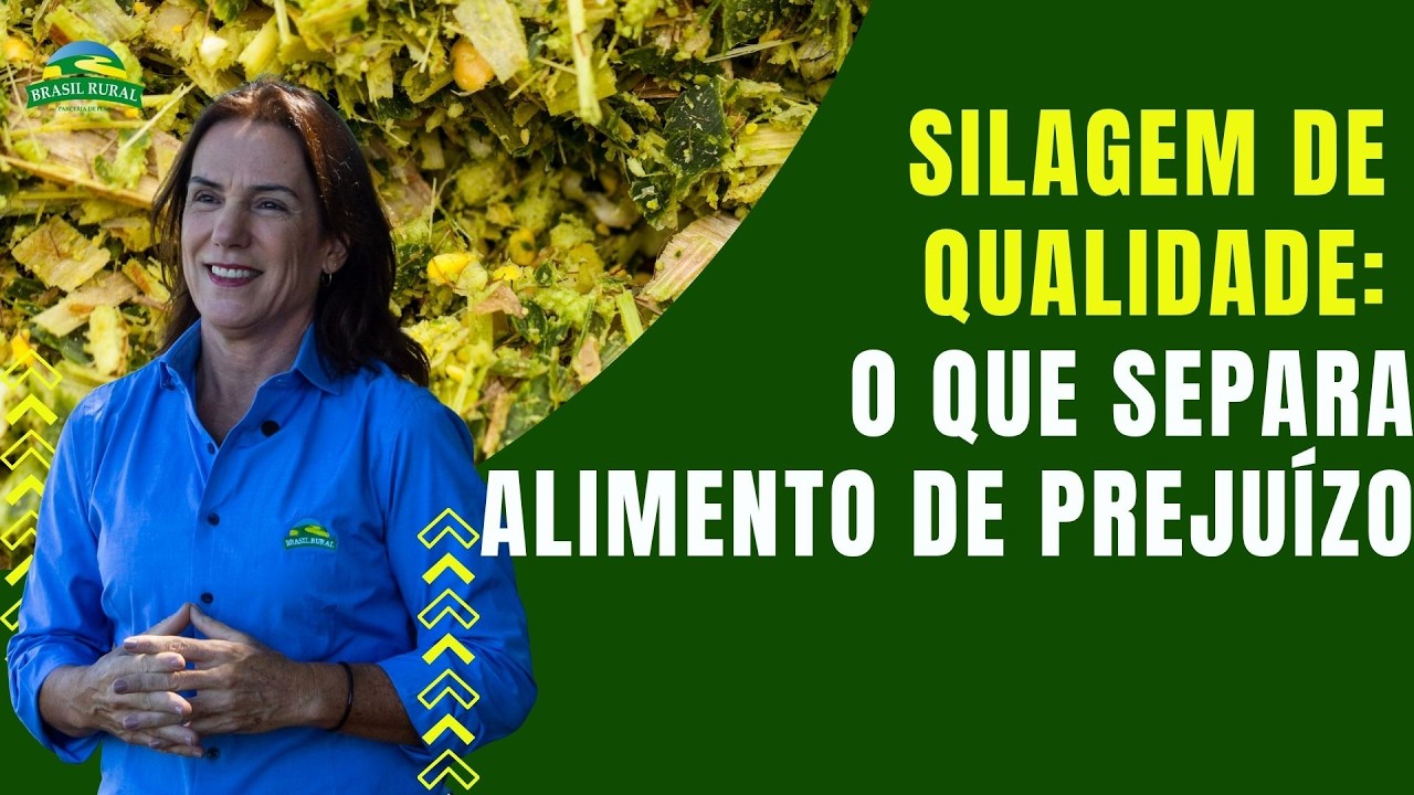 Silagem de qualidade: o que separa alimento de prejuízo