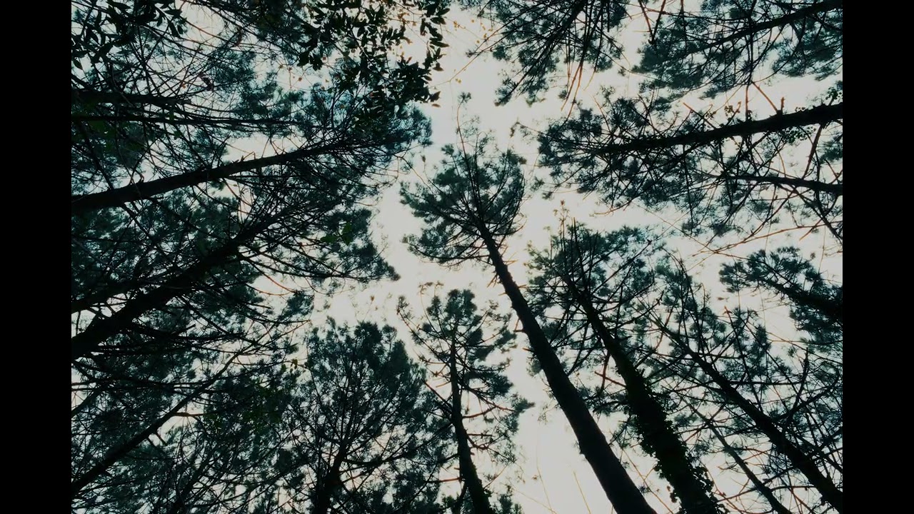 gartxot - ahaztear