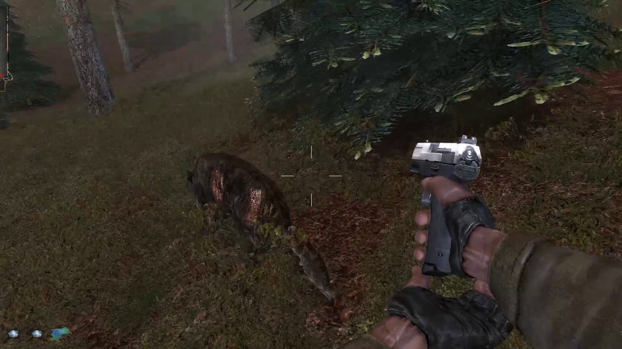 S.T.A.L.K.E.R. Shadow of Chernobyl - Doktor