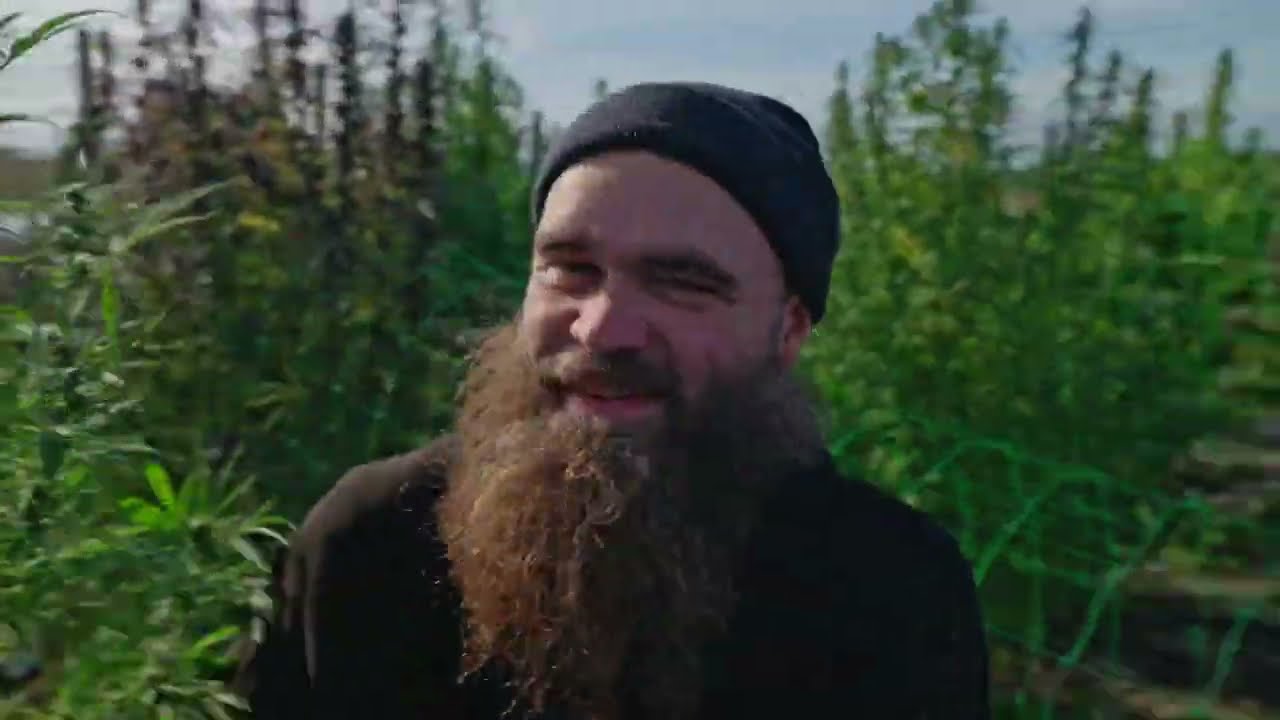 Raske Planter promo video 2