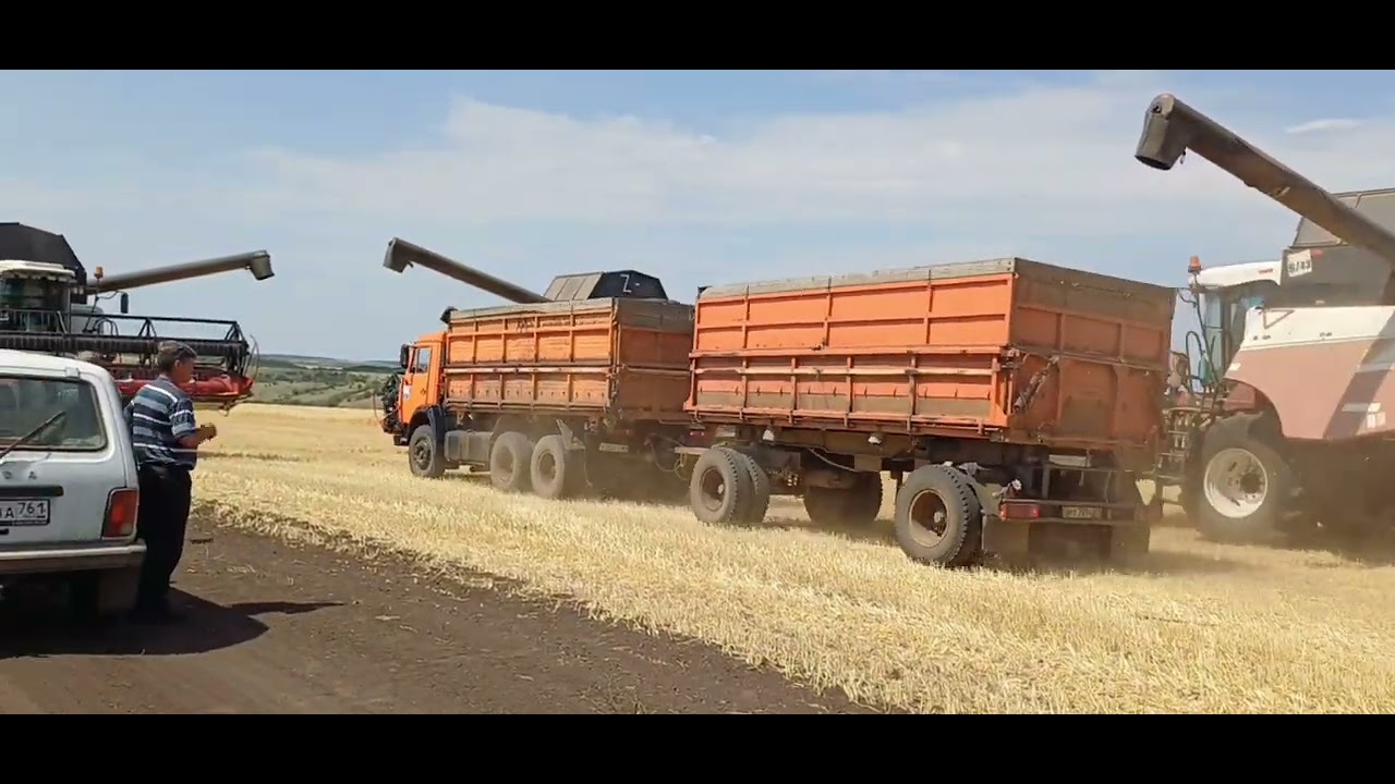 УБОРКА УРОЖАЯ 2025#агротехнологии #сельскоехозяйство #agro 