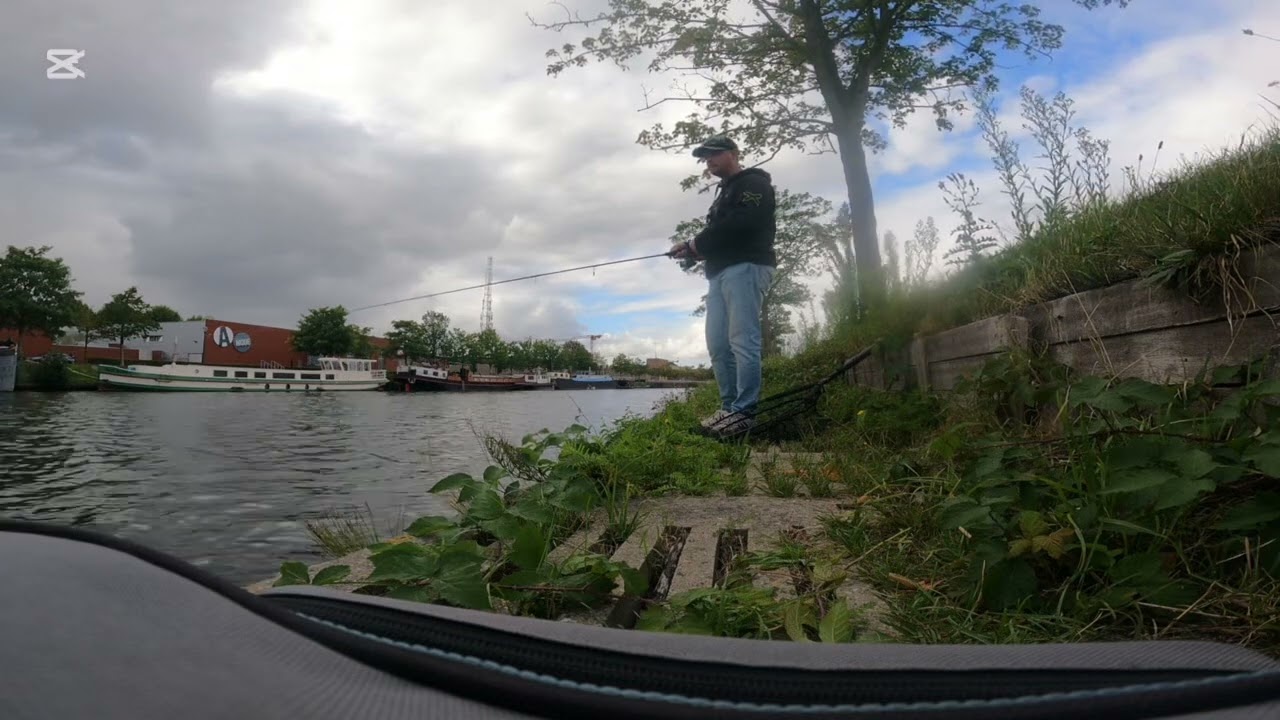 Caught Some perch on the kickback rig , Curly shrimp … i like it 
