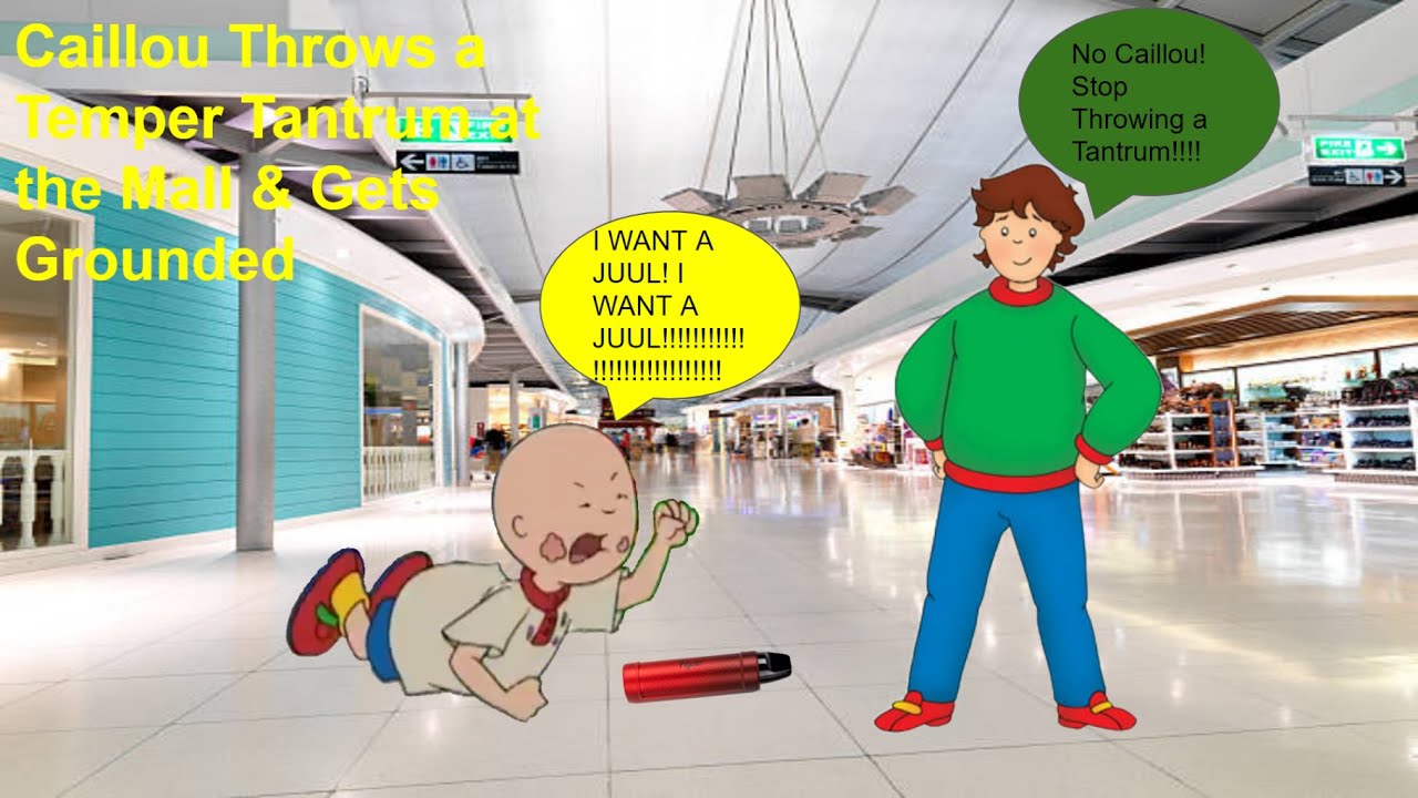 Caillou Throws a Temper Tantrum at the Mall & Gets Grounded