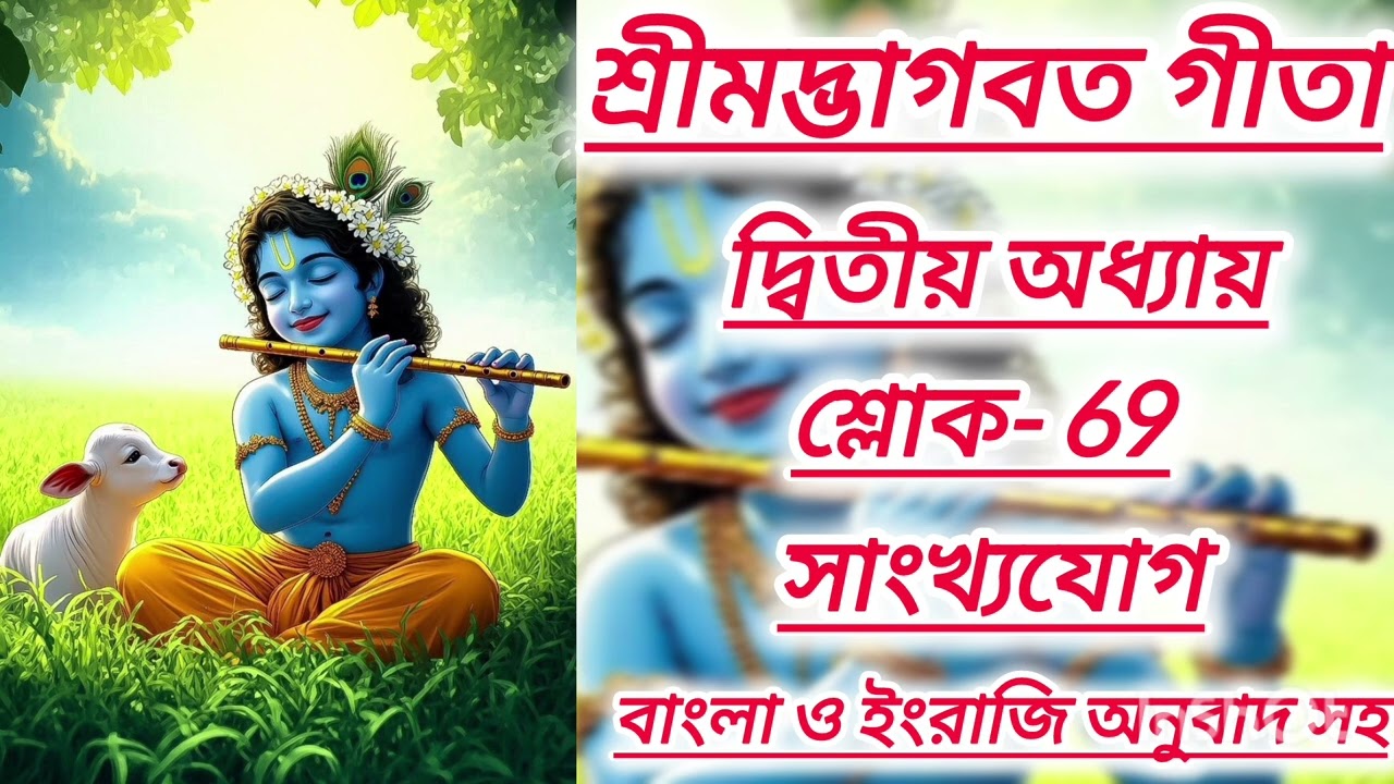।।শ্রীমদ্ভাগবত গীতা।।দ্বিতীয় অধ্যায় 🙏🏻❤️শ্লোক-69.#raidas #geeta #geetashlok #গীতা#গীতাপাঠ #geetapath