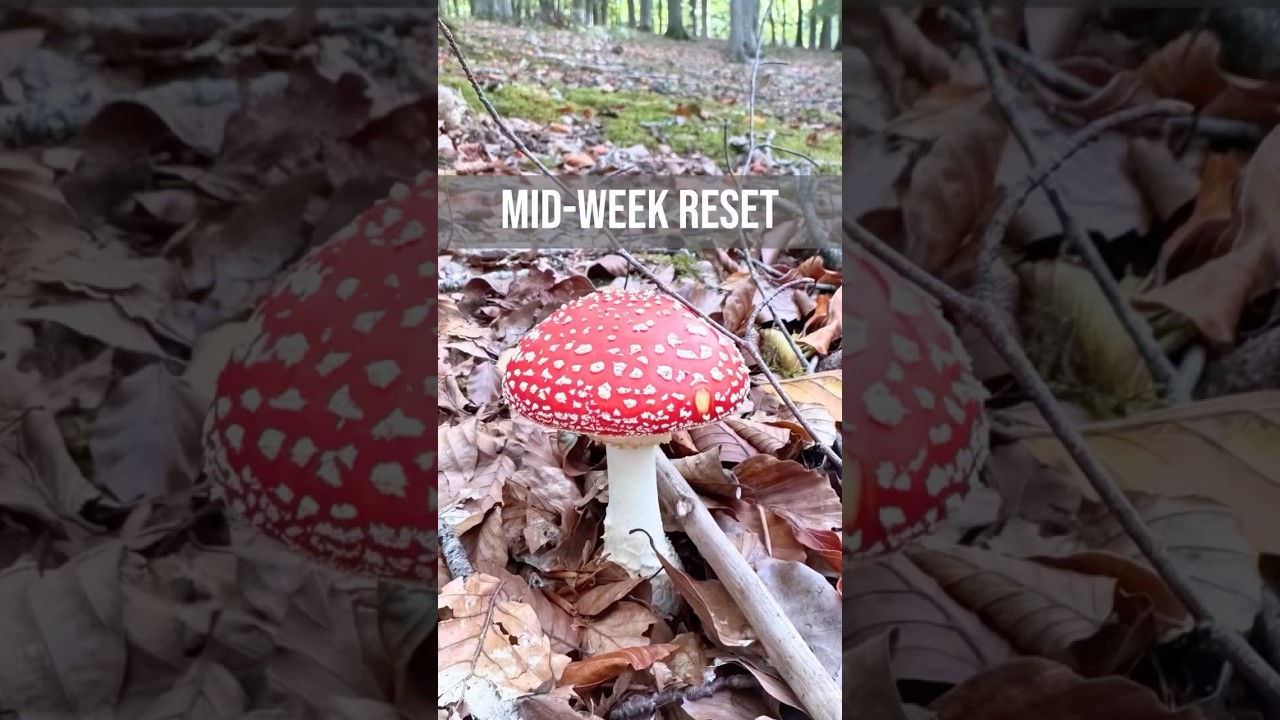 Творческая перезагрузка: отойдите от экрана 🌿