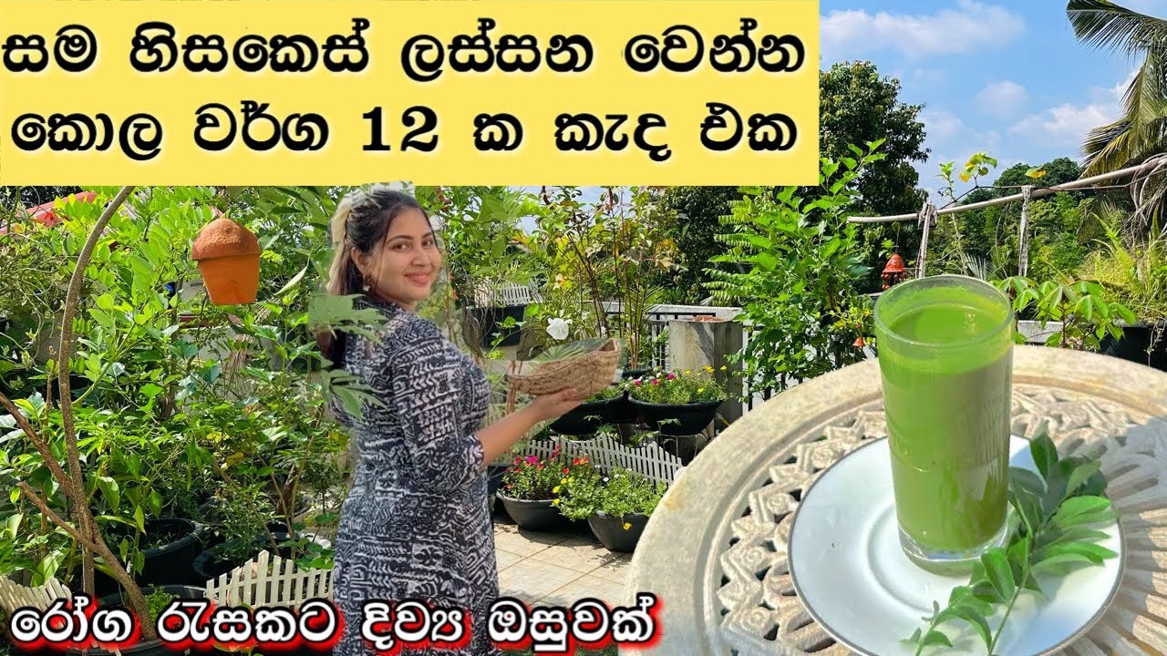 ලස්සන වෙන්න රහසක් 👸 | සමට හිසකෙස් වලට | ￼ උදුපියලිය කොළකැද | ridma pilapitiya