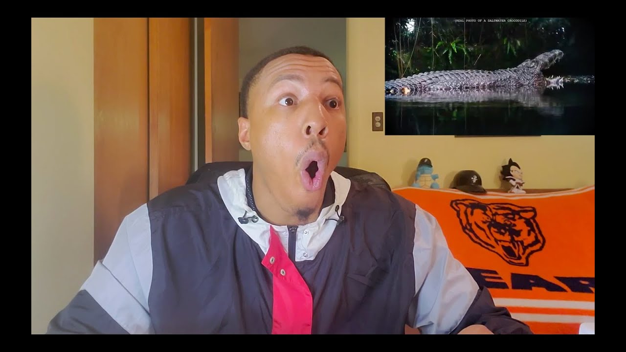 MrBallen *Reaction* Never swim in this Australian river - *CRAZY STORY*!!!!