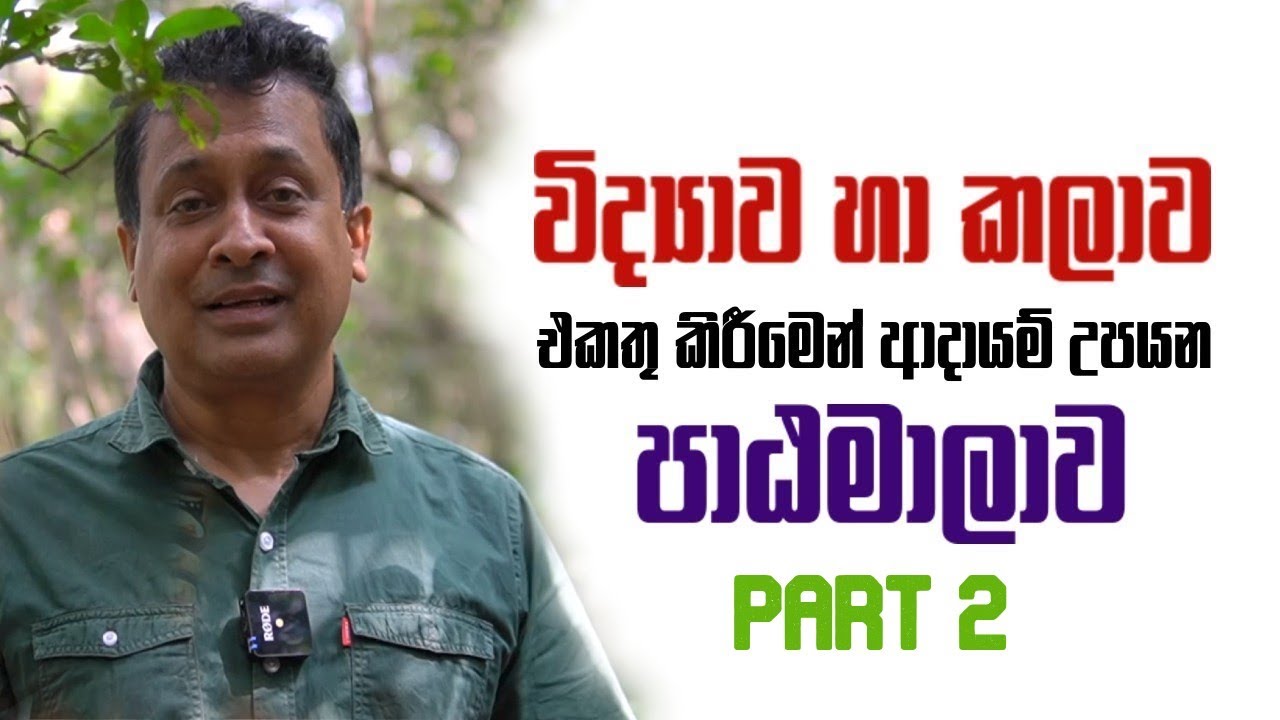 Tissa Jananayake | විද්‍යාව හා කලාව එකතු කිරීමෙන් ආදායම් උපයන පාඨමාලාව - Part 2