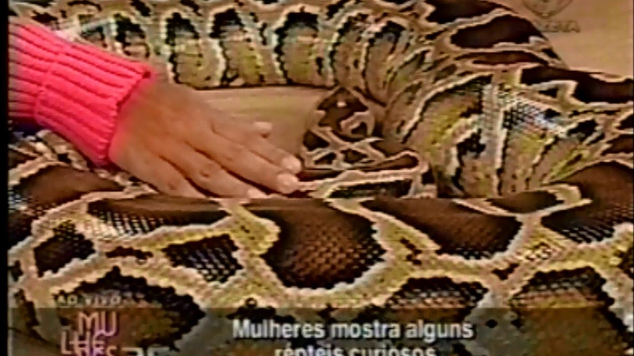 Prof  Del Nero mostra uma Python molurus para C&aacute;tia Fonseca